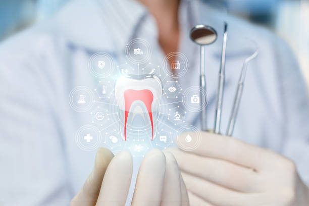 Best Dental Fillings (Composite and Amalgam)  in Goulding, FL